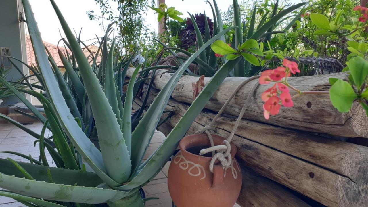 Wonderful Spot To Recharge Vila Calamata Exterior foto